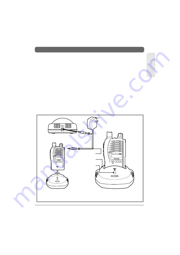 TTI TX-1446 Plus Скачать руководство пользователя страница 7