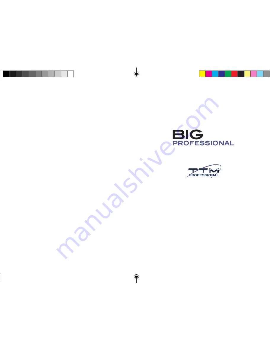 TTM BIG200 PROFESSIONAL User Manual Download Page 2