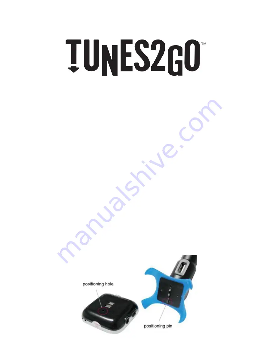 TUNES2GO MFT1202 Скачать руководство пользователя страница 1