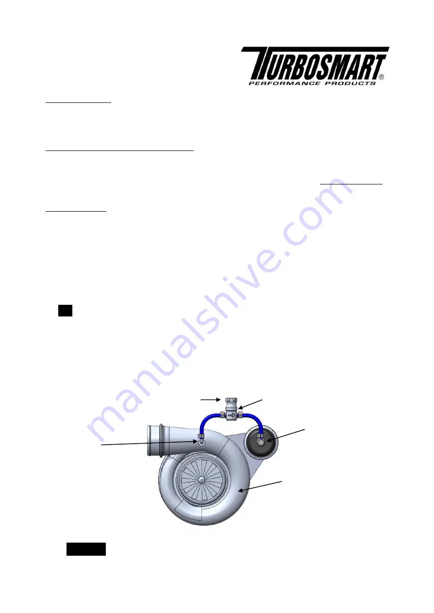 Turbosmart TS-0101-110X Скачать руководство пользователя страница 1