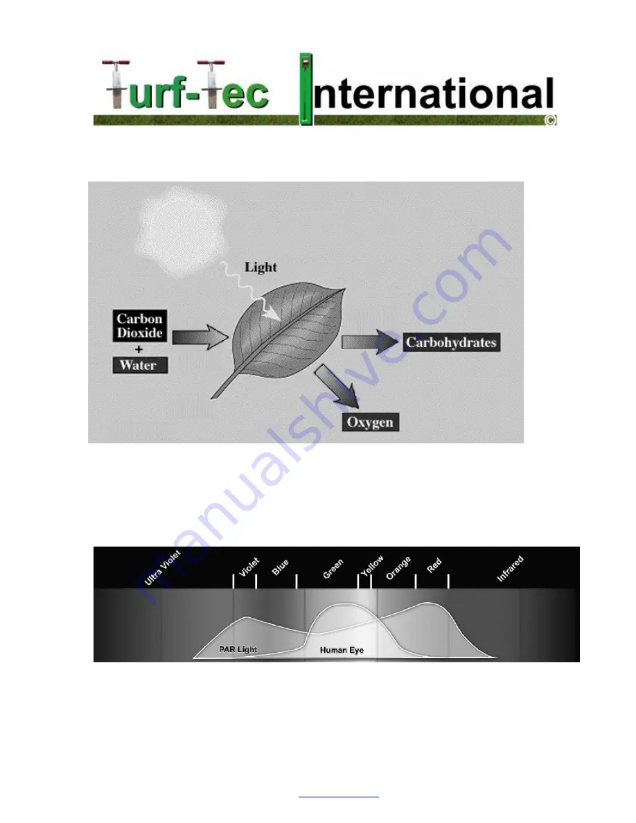 Turf-Tec Light-DLI-W Скачать руководство пользователя страница 6