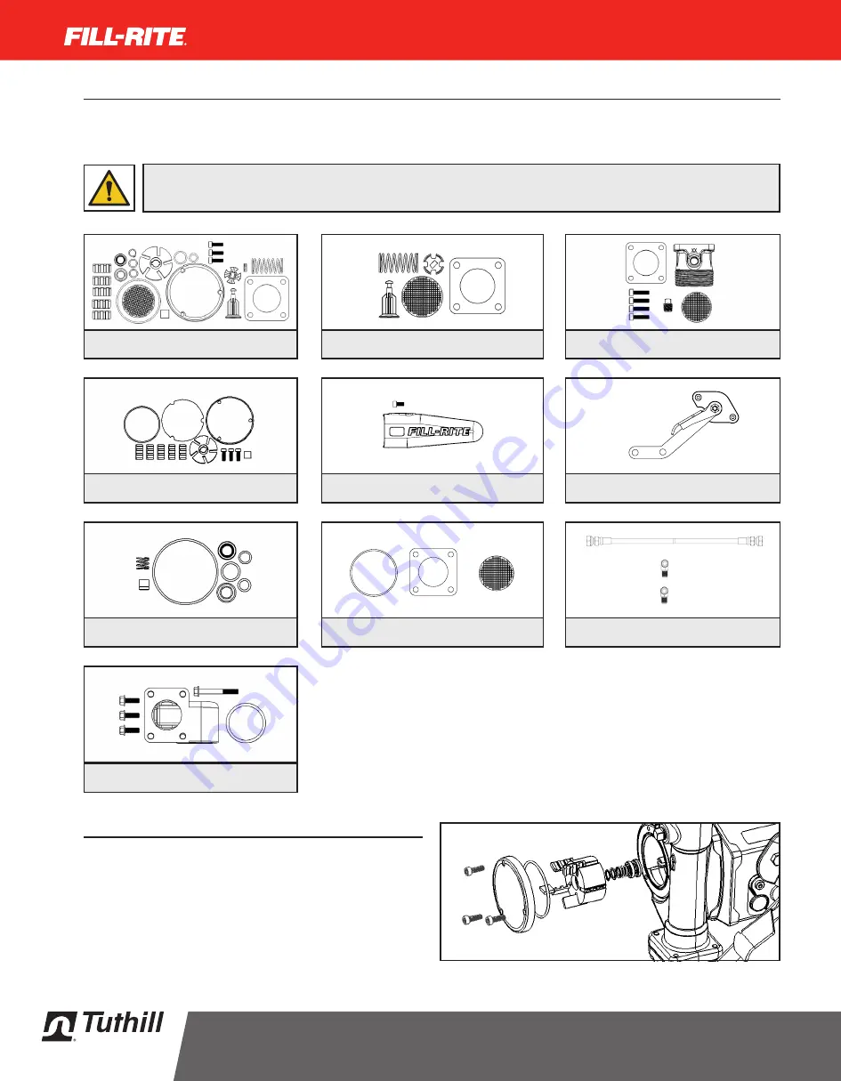 Tuthill NEXTEC FILL-RITE NX25-DDC Series Скачать руководство пользователя страница 12