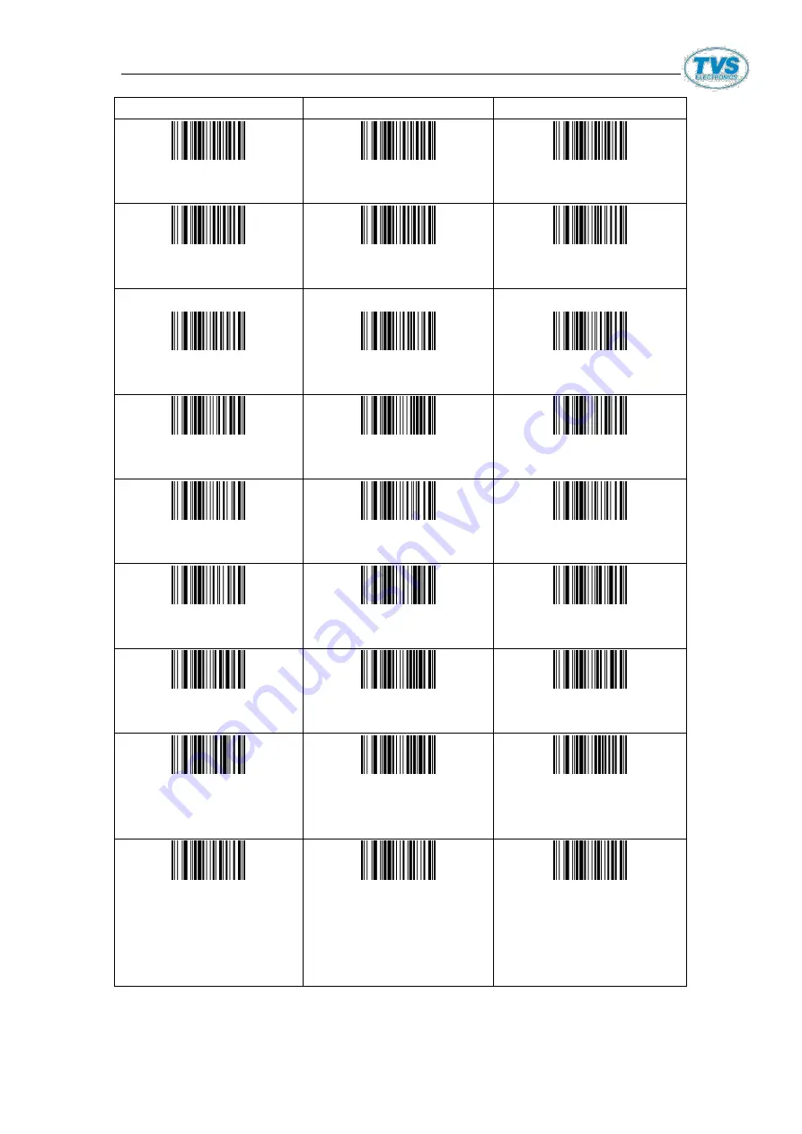 TVS electronics BS-L100 Plus User Manual Download Page 17