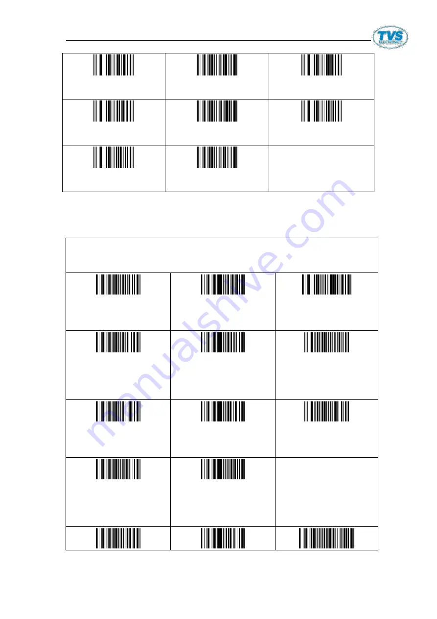 TVS electronics BS-L100 Plus User Manual Download Page 21