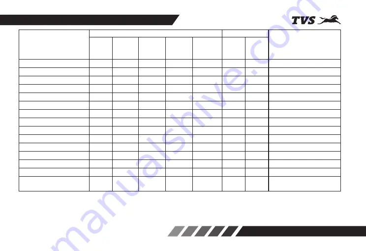 TVS ETFi VS-VI Radeon Manual Download Page 41