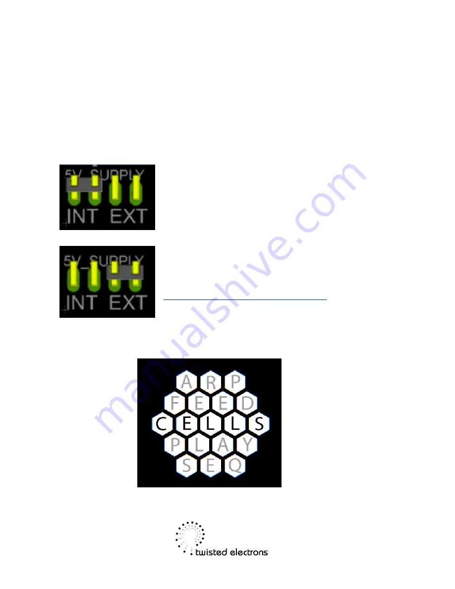 twisted electrons cells User Manual Download Page 3