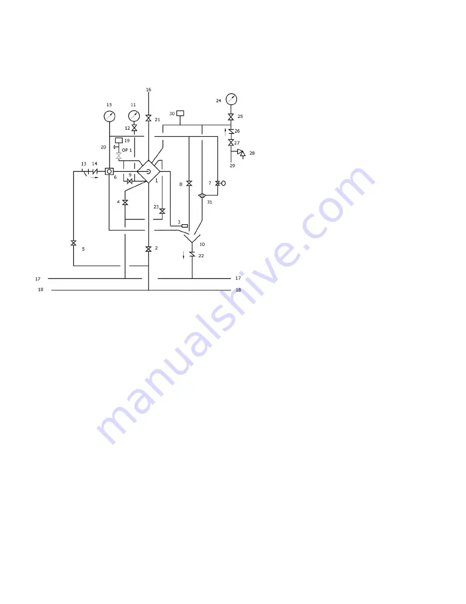 Tyco Deluge Red-E Installation Manual Download Page 43