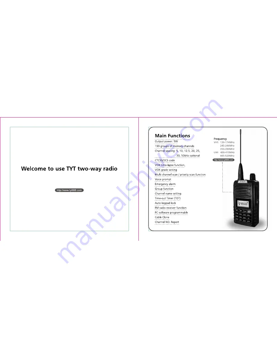 TYT TYT-900 User Manual Download Page 2