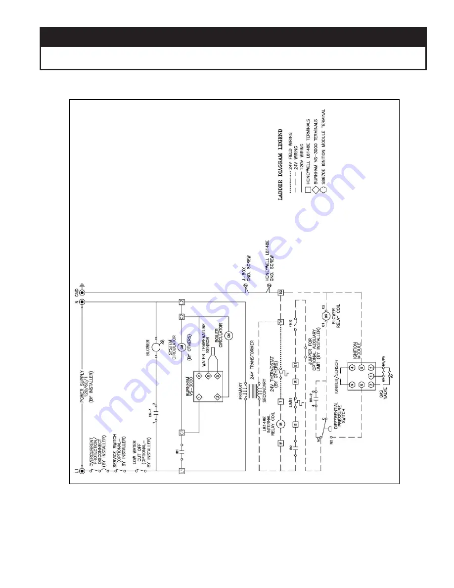 U.S. Boiler Company Burnham Hydronics Revolution RV3 Скачать руководство пользователя страница 53