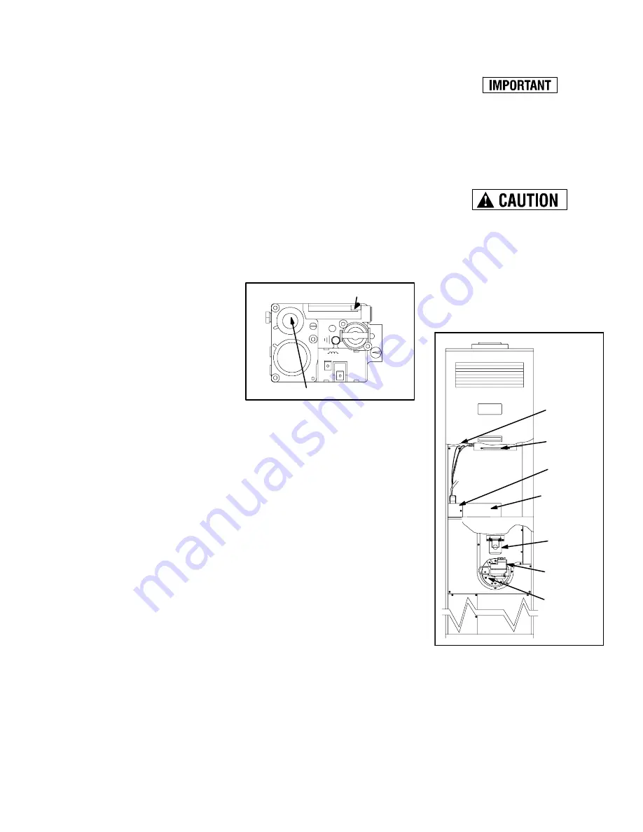 Unitary products group DLAS Use And Care Instruction Download Page 3