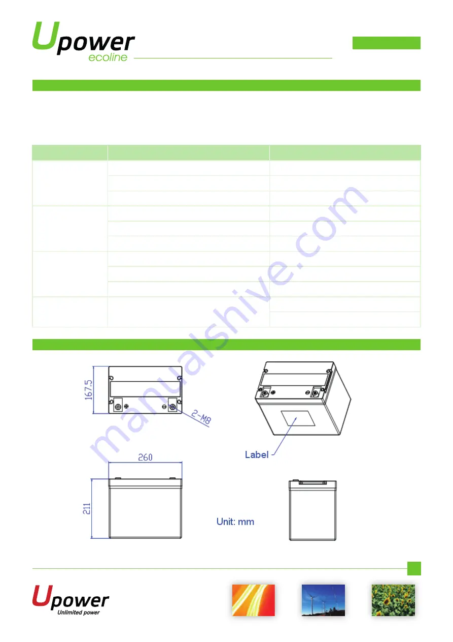 UPOWER Ecoline UE-12Li60 Manual Download Page 4