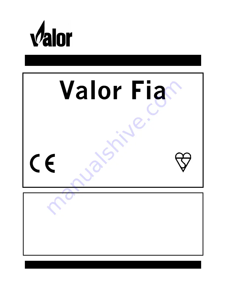 Valor FIA BR650 VA Owner'S Manual Download Page 1