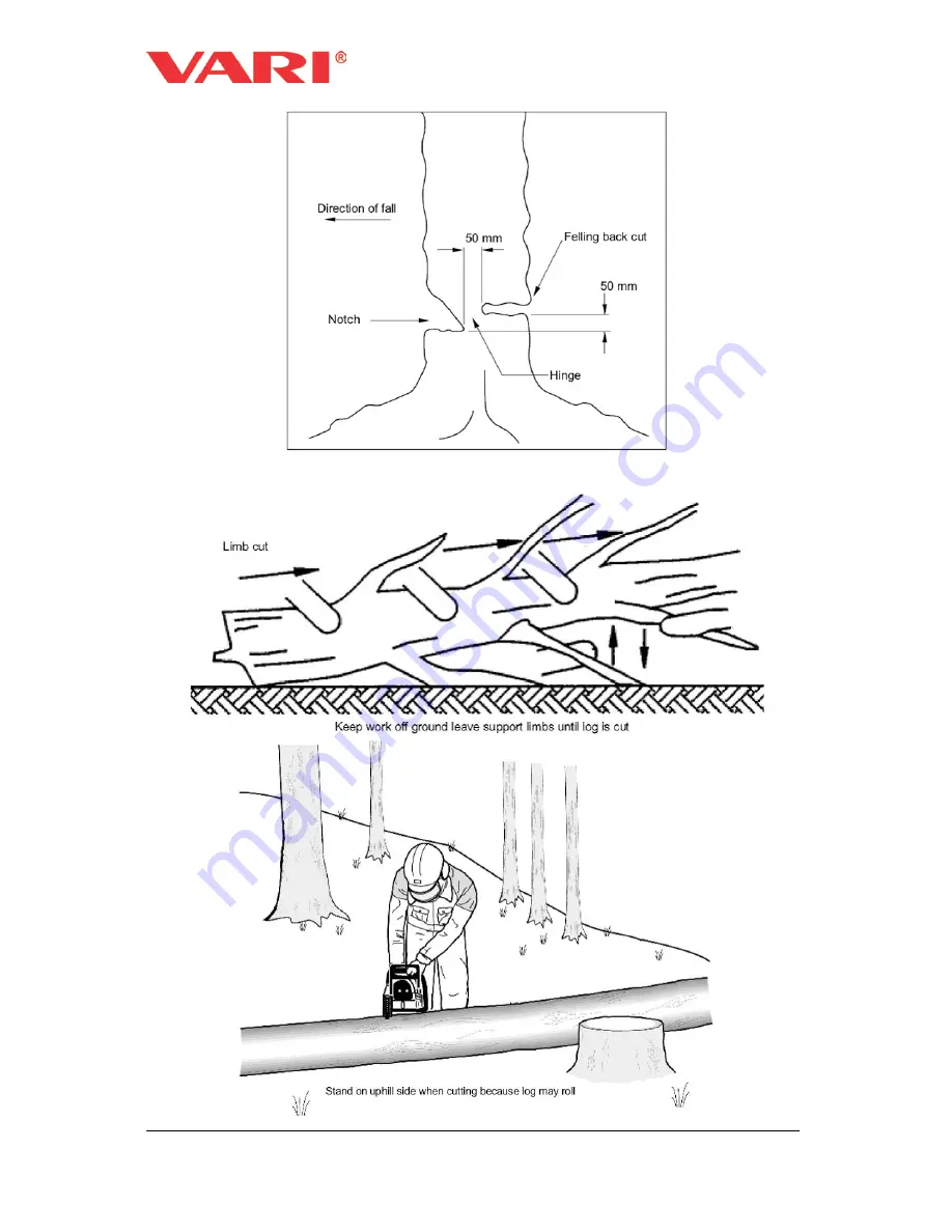 Vari VARI 2300 W Instructions For Use Manual Download Page 11