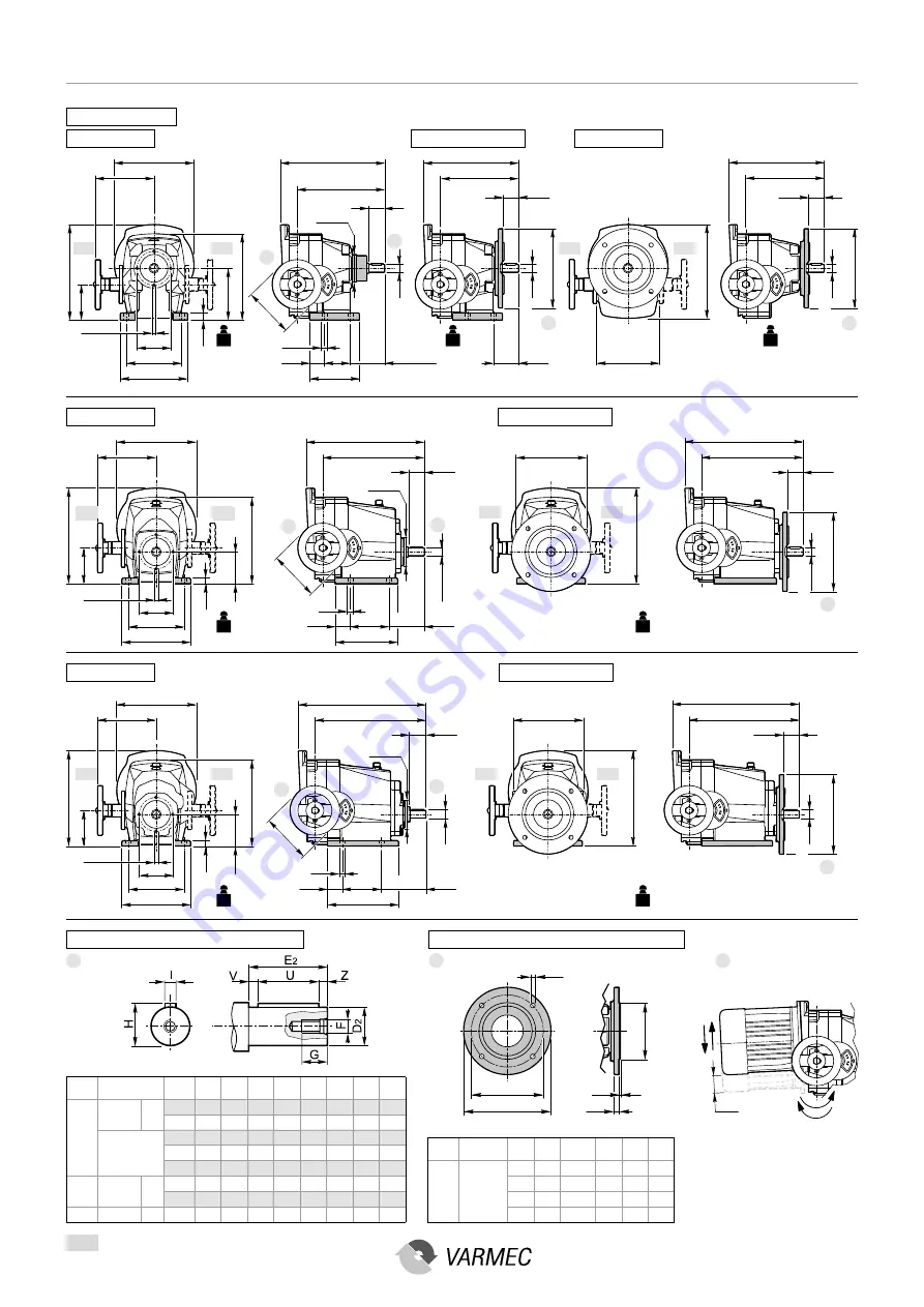 VARMEC VAR Series Скачать руководство пользователя страница 21