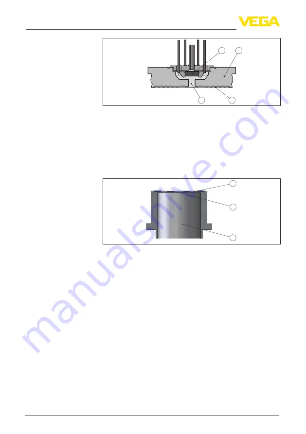 Vega VEGABAR 29 Operating Instructions Manual Download Page 10