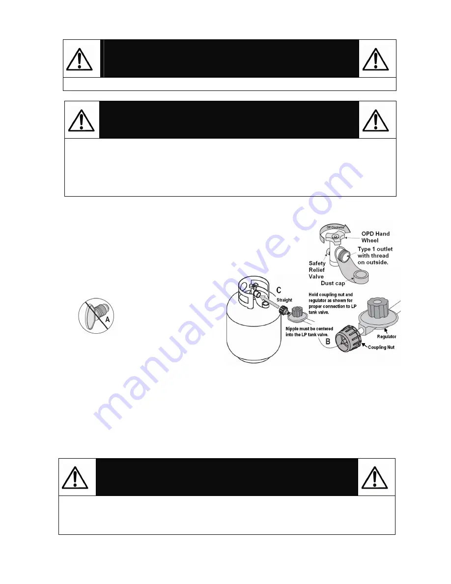 Versa Flame BY12-084-029-97 Скачать руководство пользователя страница 6