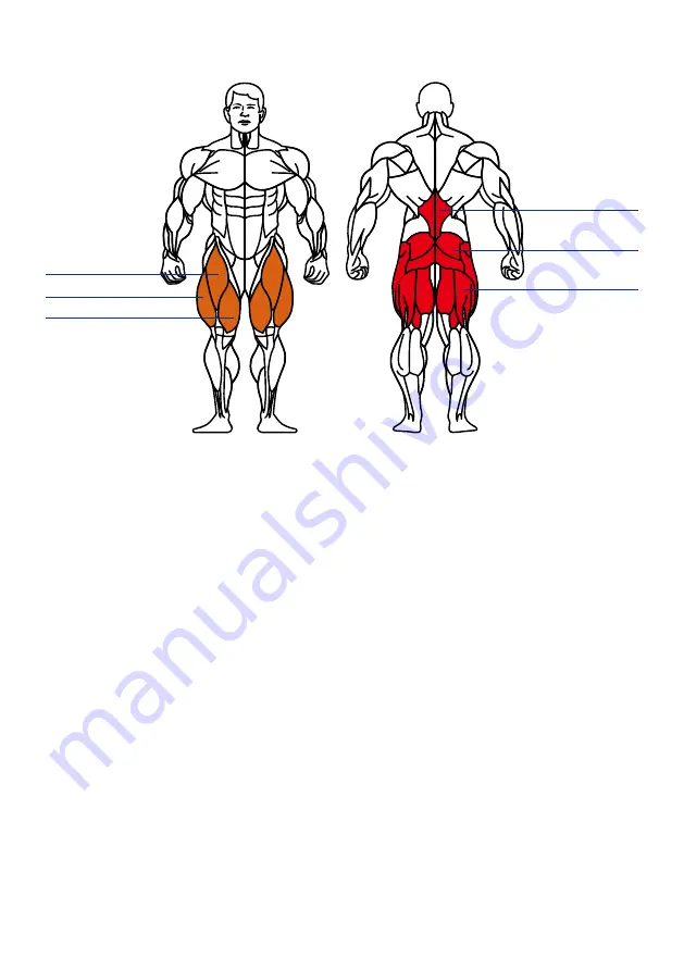 Verve GLUTE BUILDER Owner'S Manual Download Page 16