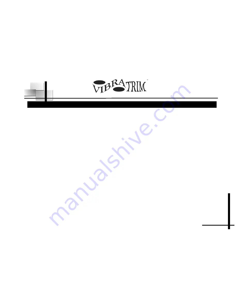 Vibratrim VT300 Скачать руководство пользователя страница 12