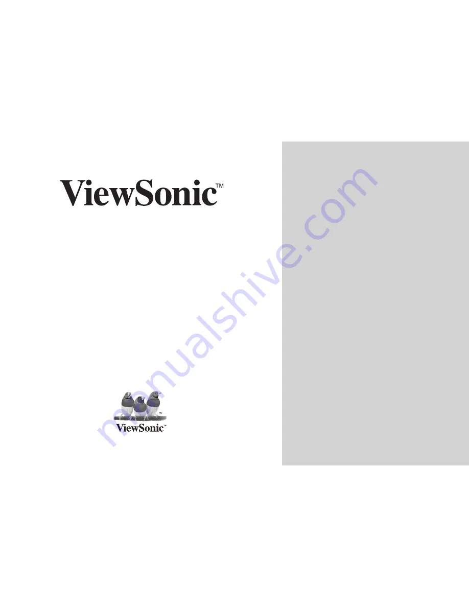 ViewSonic DPG807BK-51P User Manual Download Page 1