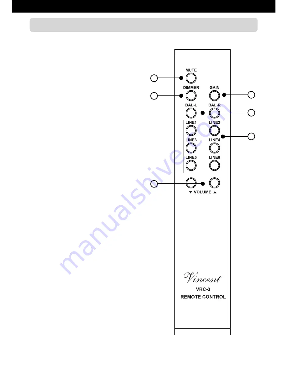 VINCENT SV-232 Instructions For Use Manual Download Page 10