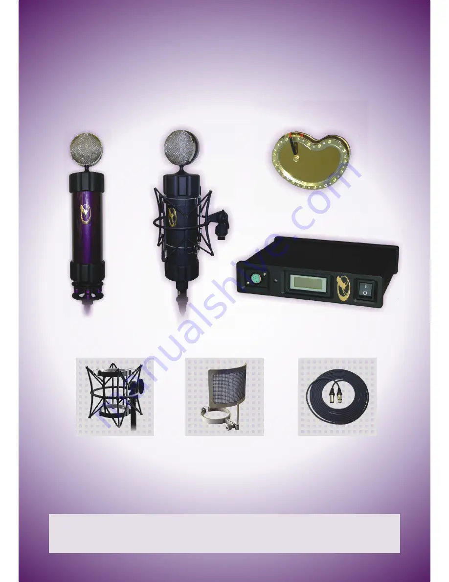 VIOLET Design vacuum tube electrostatic microphones Скачать руководство пользователя страница 2