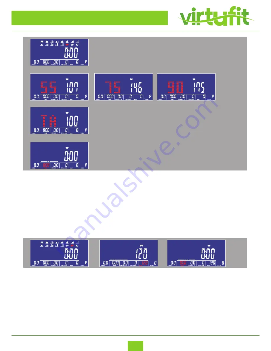 VIRTUFIT iConsole FDR 2.1 User Manual Download Page 19