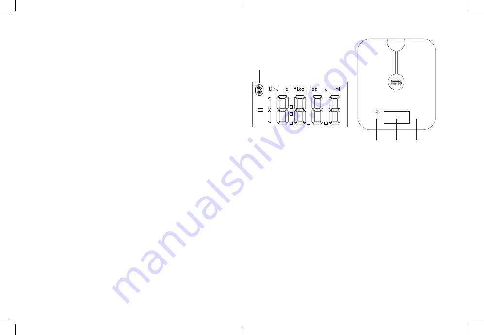 VISIOMED BewellConnect MyNutriScale BW-SCF5 Manual Download Page 6