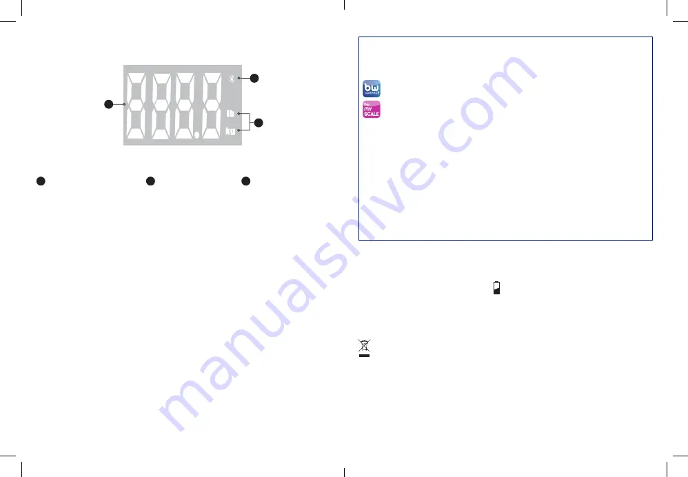 VISIOMED BewellConnect MyScale BW-SC2 Скачать руководство пользователя страница 25