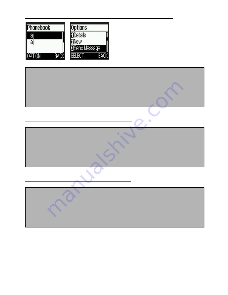 Vitelcom Mobile Technology SP-100 User Manual Download Page 17