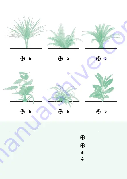 Vitesy Natede Basic Скачать руководство пользователя страница 15