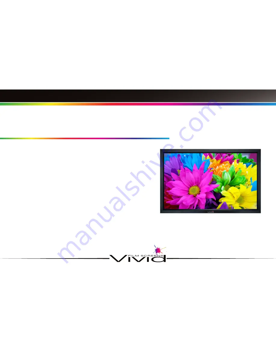 Vivid VFS4106SVS Скачать руководство пользователя страница 4