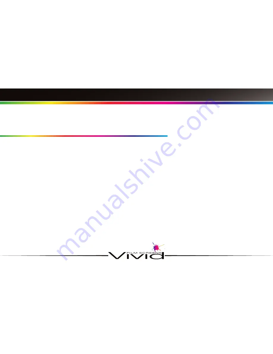 Vivid VFS4106SVS User Manual Download Page 6