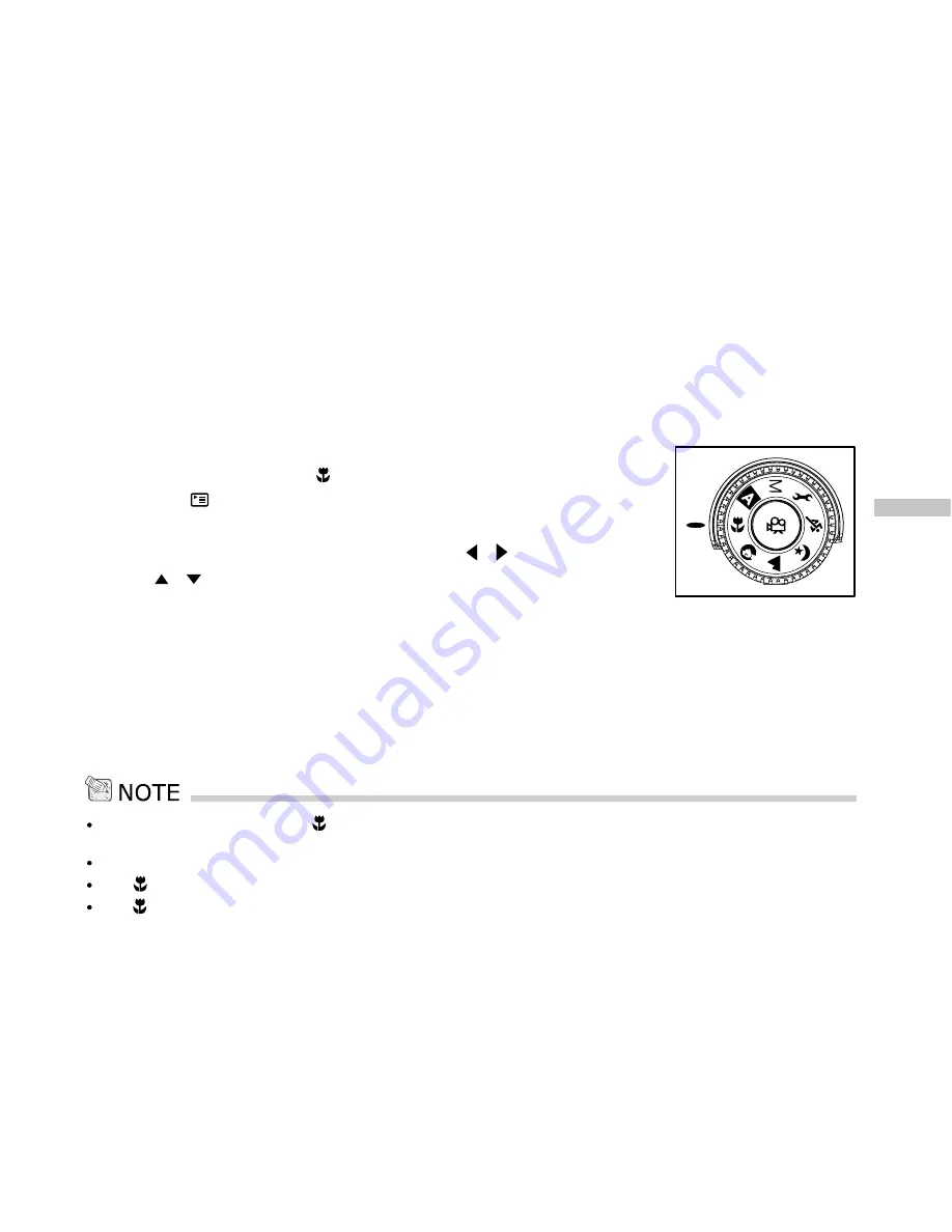 Vivitar Vivicam 3935 User Manual Download Page 39