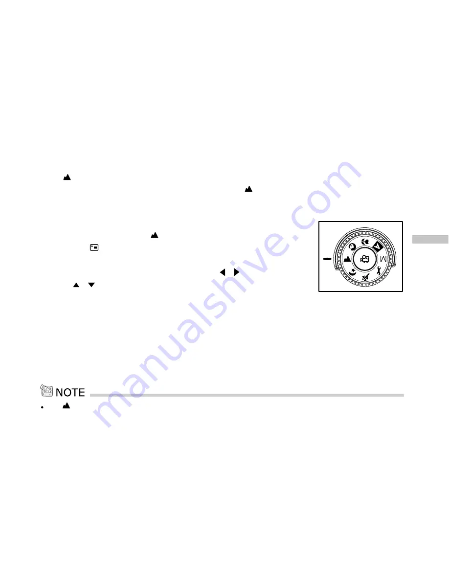 Vivitar Vivicam 3935 User Manual Download Page 41