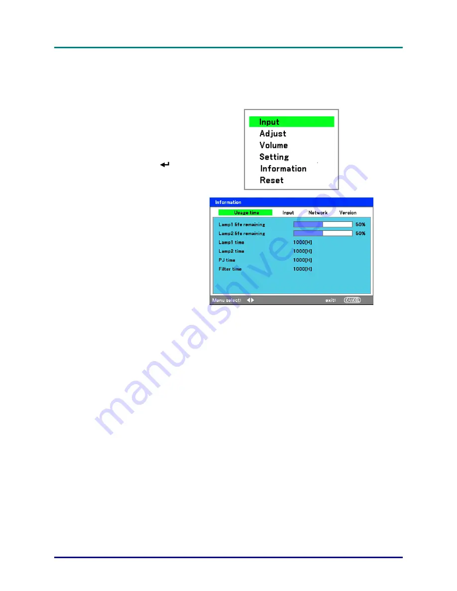 Vivitek D6510 User Manual Download Page 43