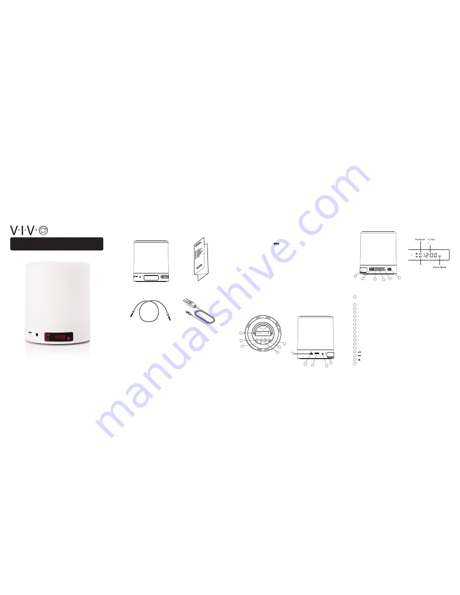 Vivo SPK-V01 User Manual Download Page 1