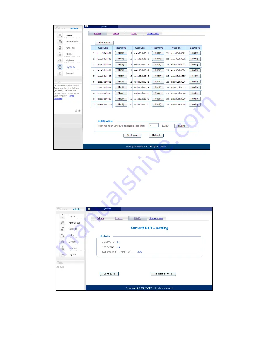 VoSKY Exchange Pro VIT1/E1 Скачать руководство пользователя страница 17