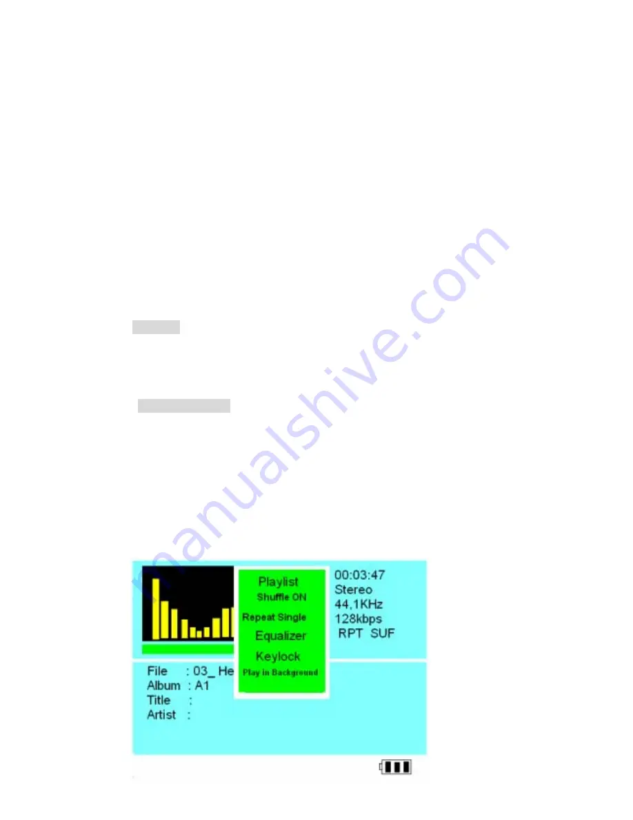 Vosonic X's-Drive Operation Instructions Manual Download Page 17