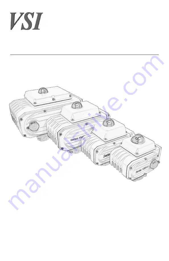 VSI 1000-X Series Скачать руководство пользователя страница 1