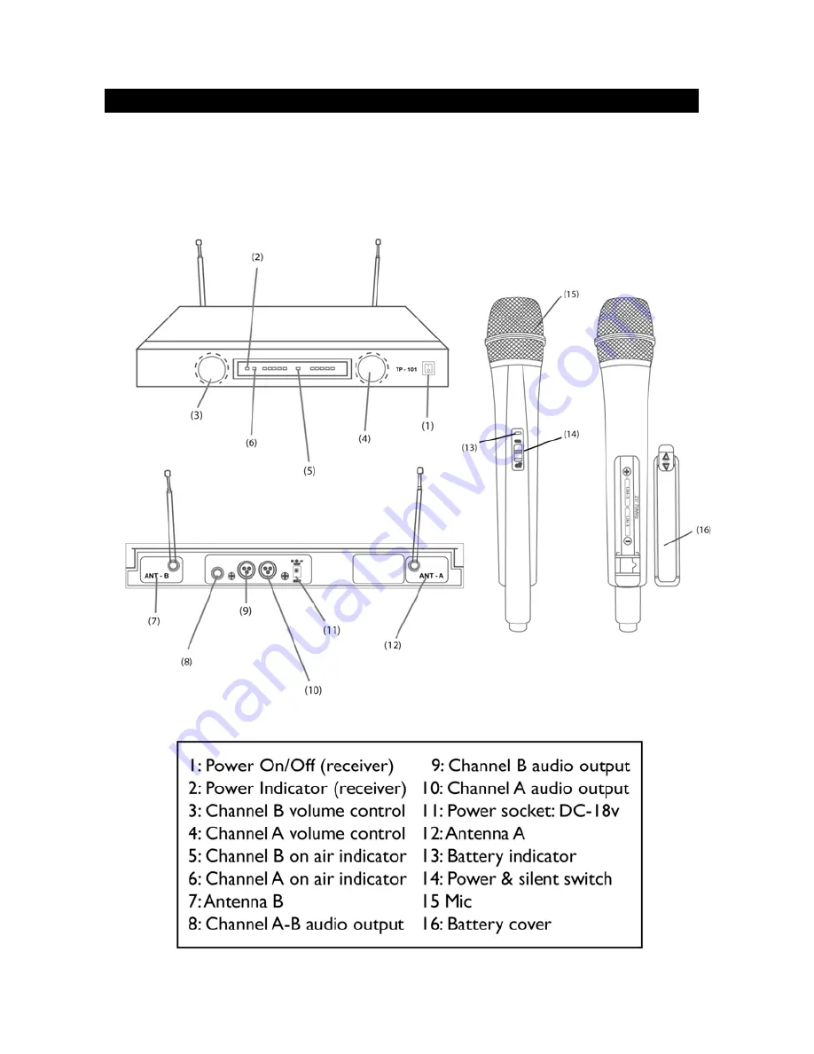 W Audio TP - 100 User Manual Download Page 8