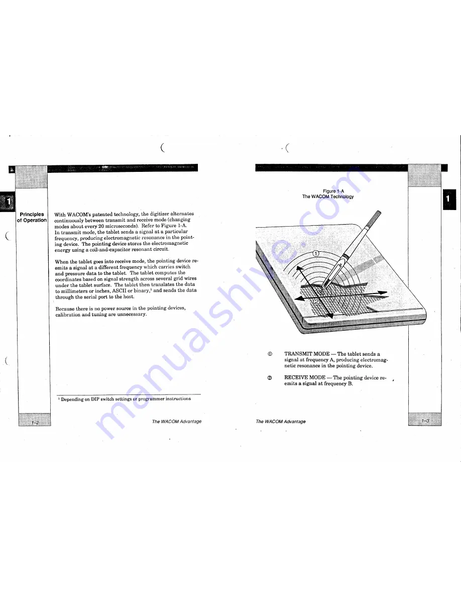 Wacom SD-013A User Manual Download Page 7