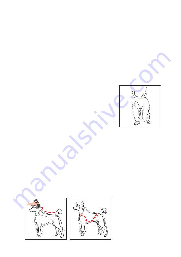 Wahl Pet Starter How-To Manual Download Page 10