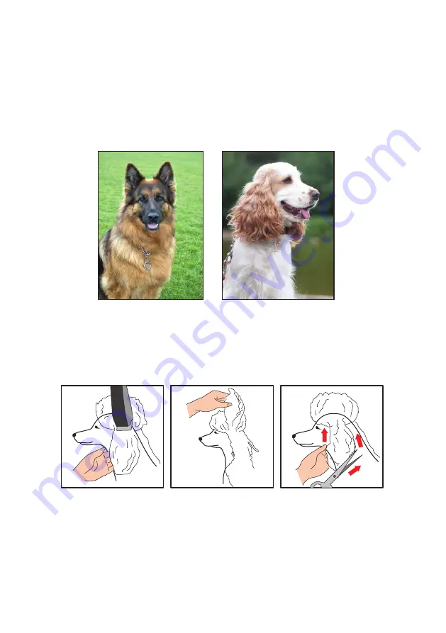 Wahl Pet Starter How-To Manual Download Page 12