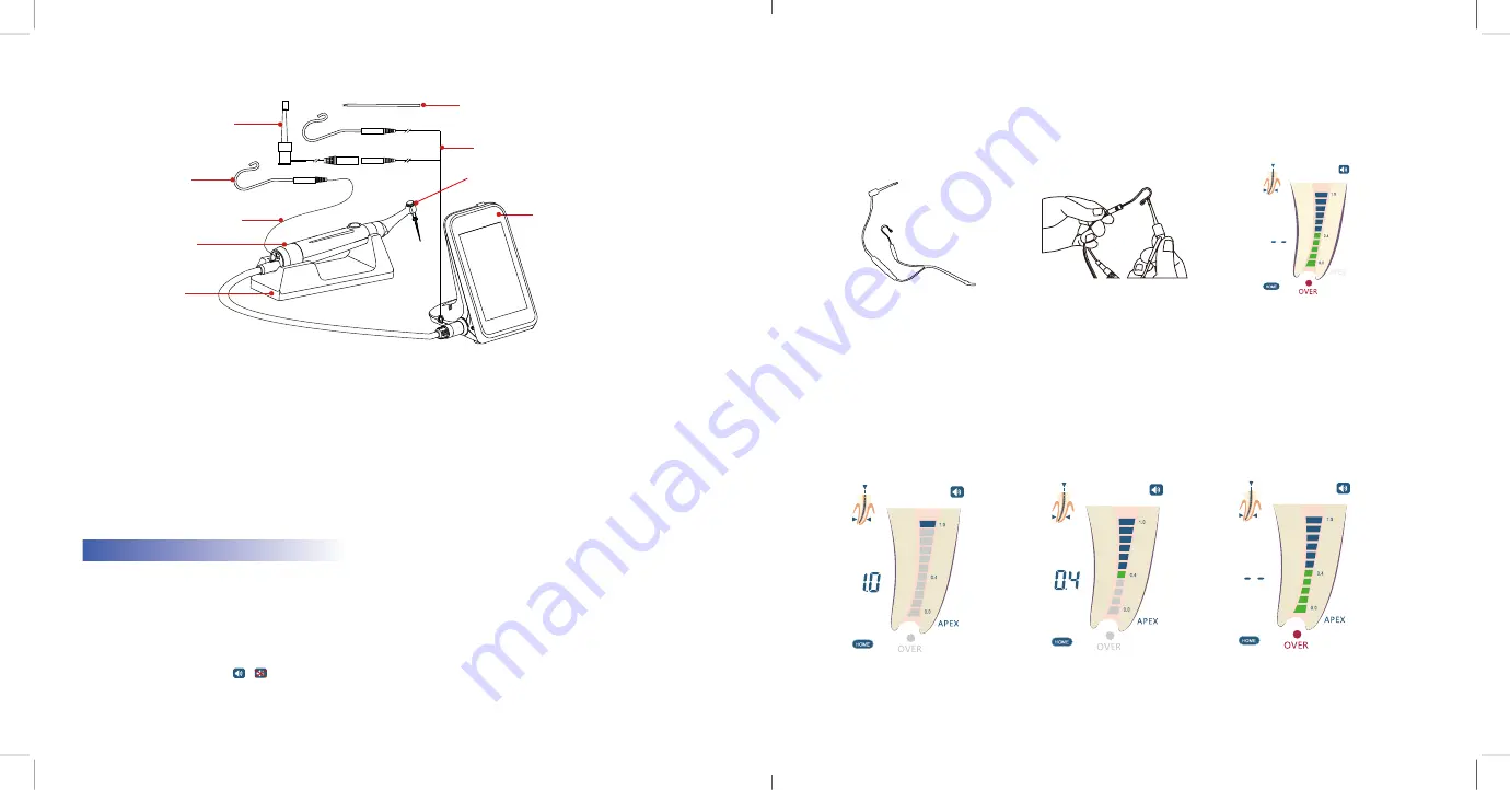 WALDENT ENDO PRO SMART-TOUCH User Manual Download Page 6