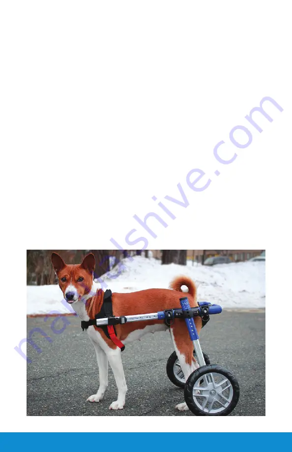 Walkin’ Pets Wheels Manual Download Page 3