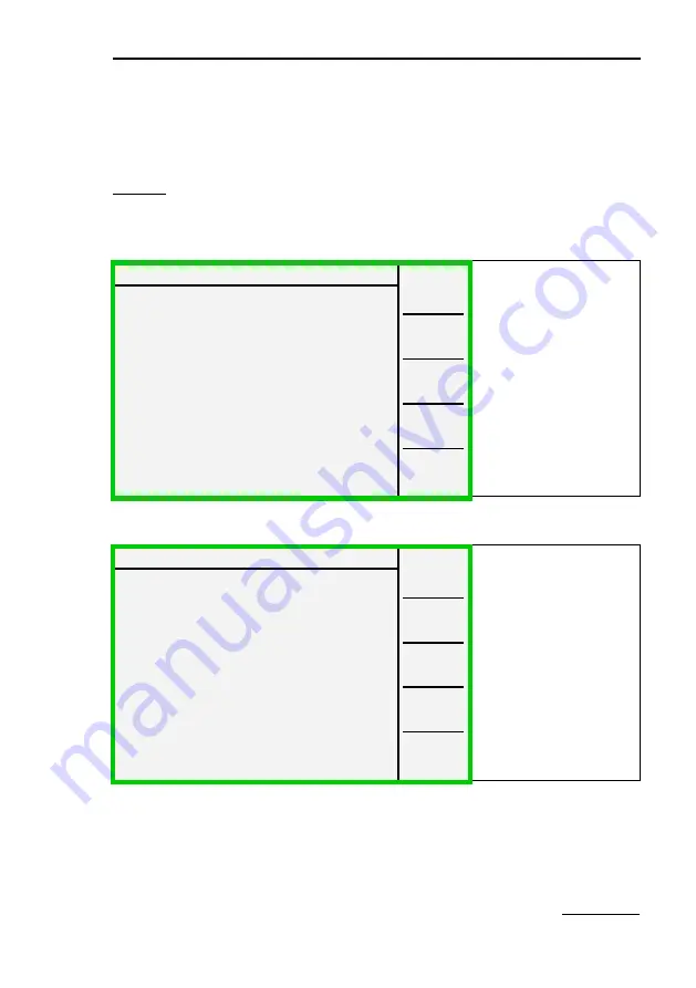 Walz MINI-PAM-II Manual Download Page 101