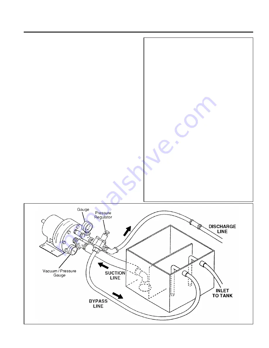 Wanner Engineering Hydra-Cell D-10 Installation Service Download Page 5