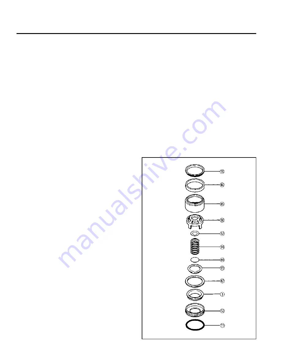 Wanner Engineering Hydra-Cell H-25-SD Installation Service Download Page 10