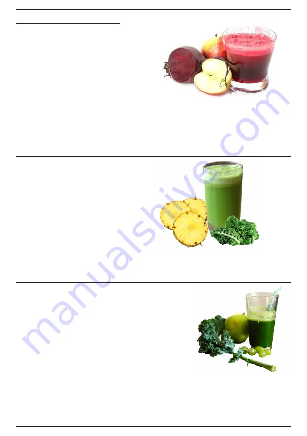 Waring Health Juicer Скачать руководство пользователя страница 13