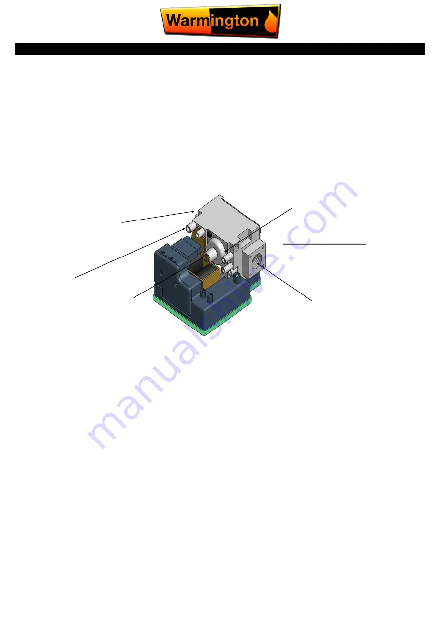 Warmington TFG 800 Скачать руководство пользователя страница 15